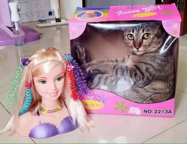 Юмор в картинках 11.12.20