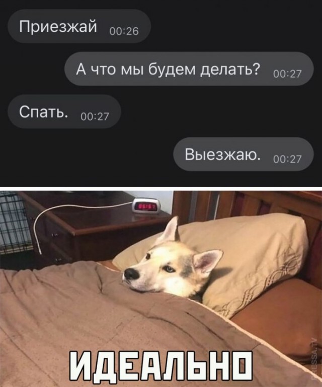 Так себе картинки 21.04.21