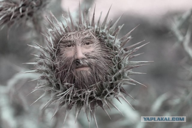 Киану нау