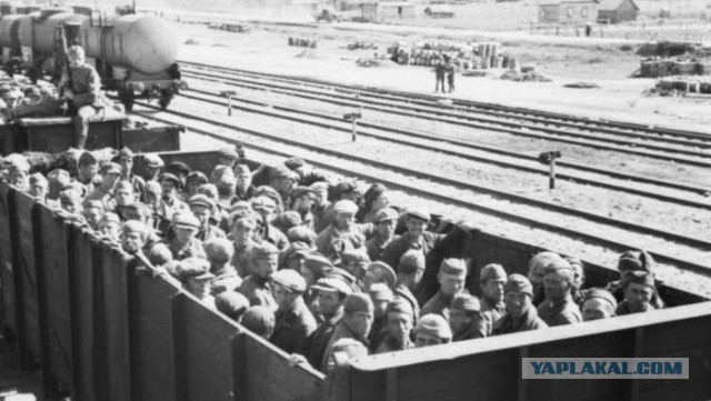 Вводящий обязательную эвакуацию закон принят в первом чтении. Что из этого следует