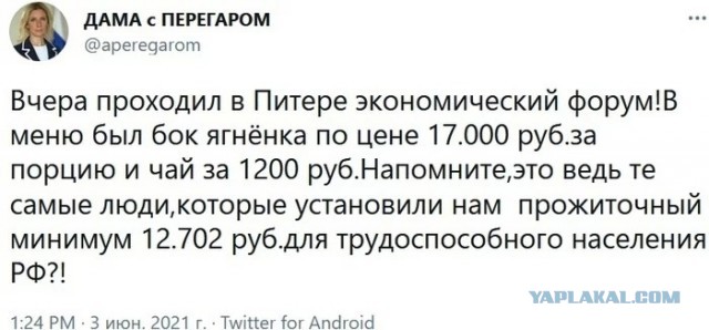 Одна из главных экономических повесток ПМЭФ — цены в местной столовке