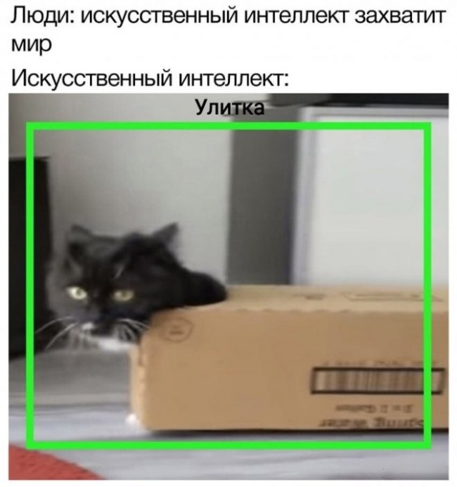 Мем с ии котом Пенсионный портфель. Стартую с нуля