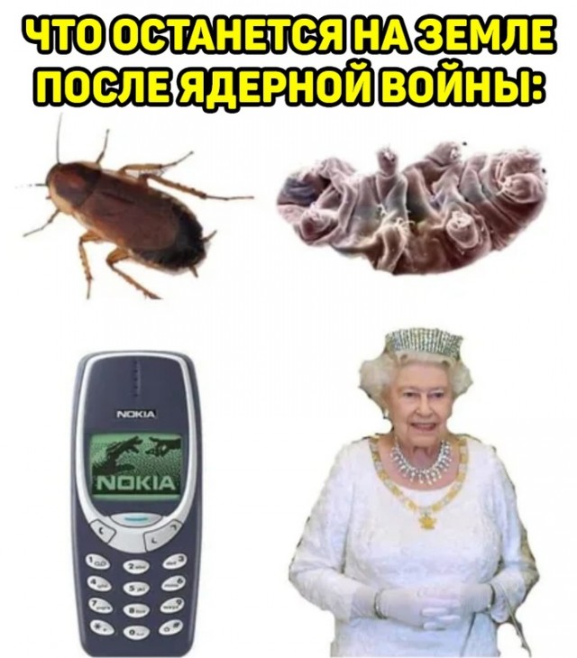 Весёлый полтишок 15.10