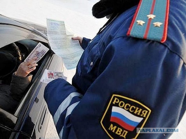 А виноват ты в том, что хочется мне кушать
