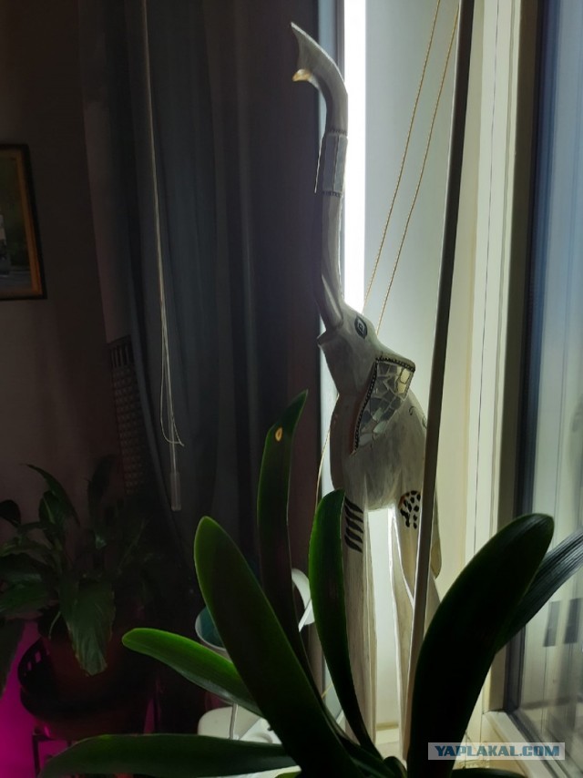 3 мифа, с помощью которых мужчинам внушают, что они должны вкладываться в женщин