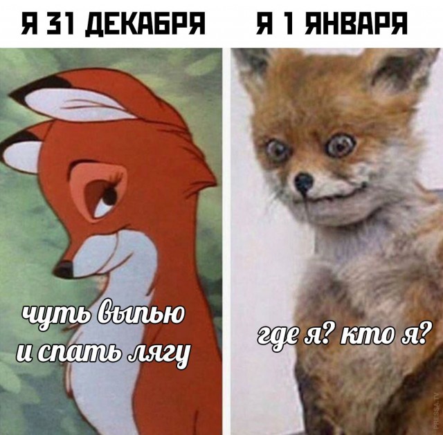 Следуйте за мной