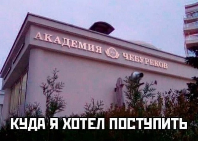 Картинки и мемы для настроения 02.02.2022