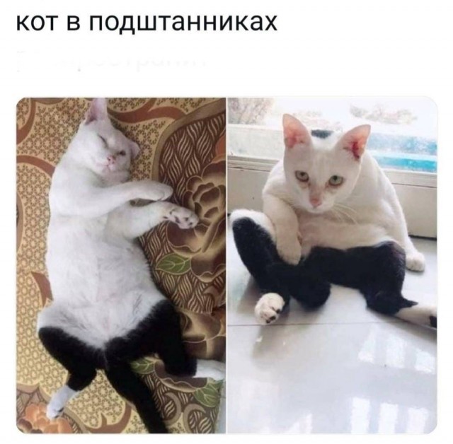 Так себе картинки 02.04.22