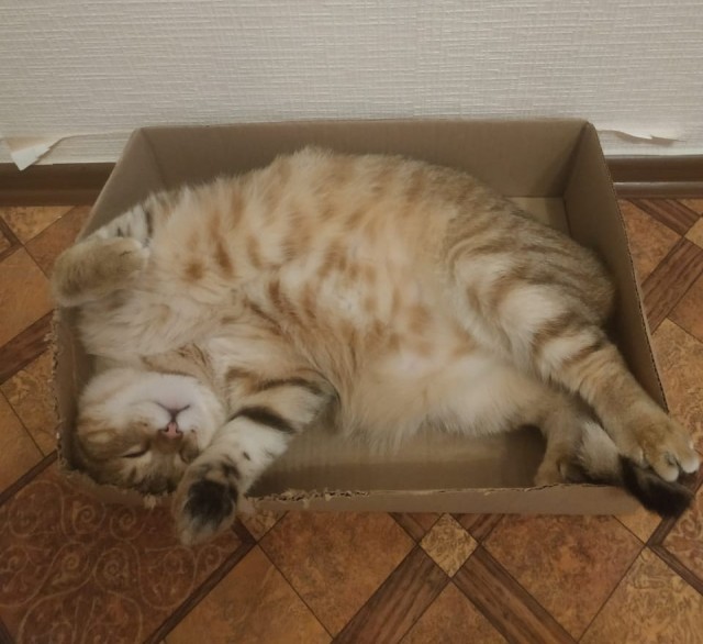 А что, уже вторник?