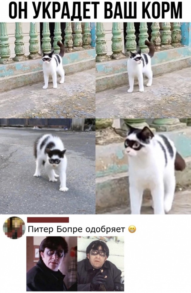 Так себе картинки 28.04.22