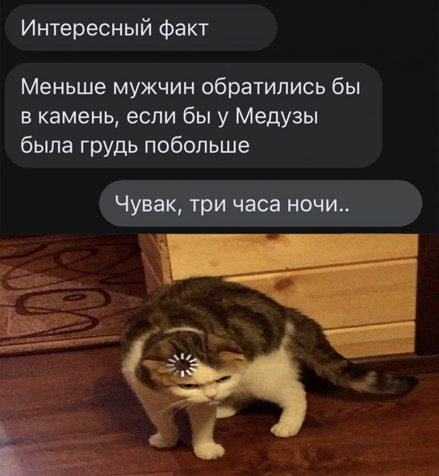 Весёлый полтишок 03.06.22