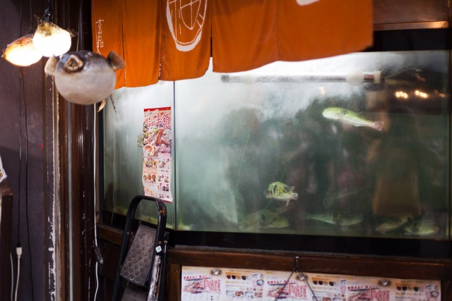 Фотографии с прогулки по Токио