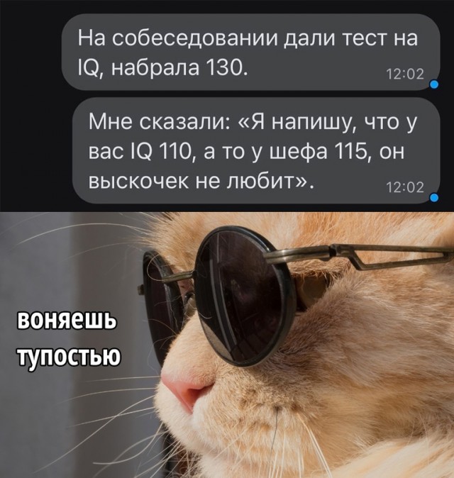 Весёлый полтишок 08.08.22