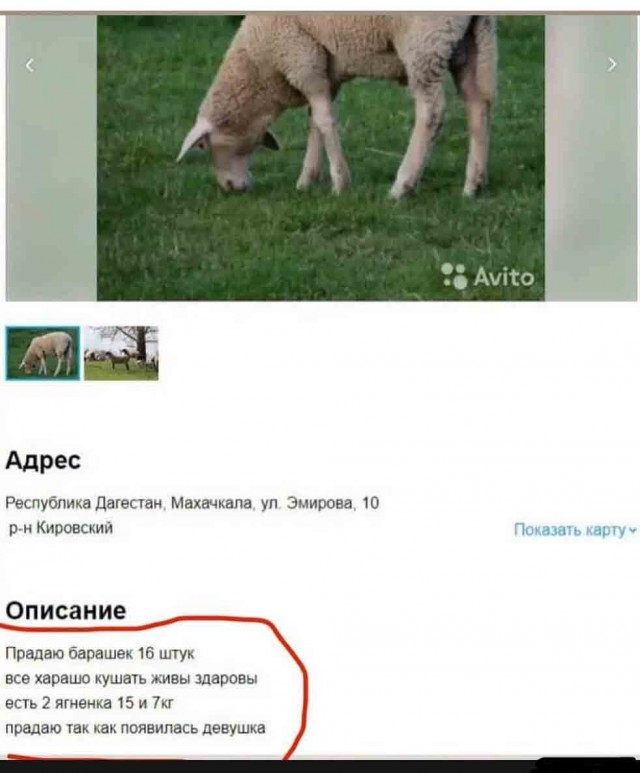 Всякой Хни вам в ленту, дорогие деграданты...