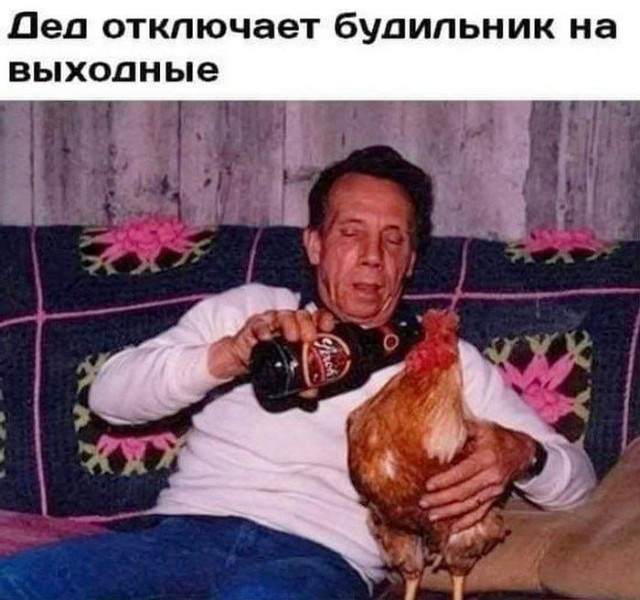 Деградация лайт 14.10.2022
