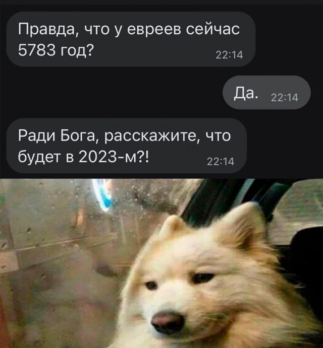 Немного мемчиков. Для взрослых. Часть 28