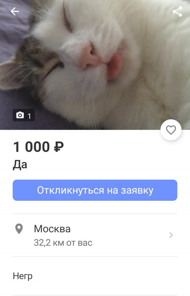 Всего понемногу, от 21.05