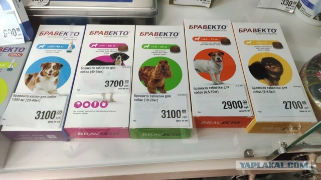 Всё-таки четверг
