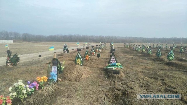В Краснодаре женщина пыталась напасть на жён и матерей участников СВО, которые плели во дворе маскировочные сети