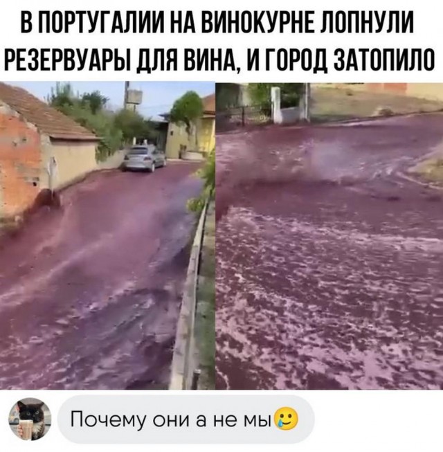 Прикольные и просто красивые картинки 15.09.2023
