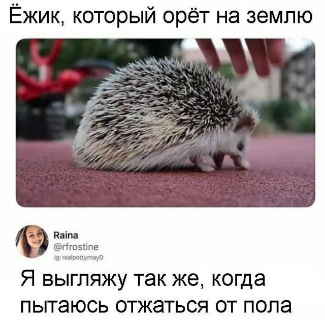 Всего понемногу. От 03.10.23
