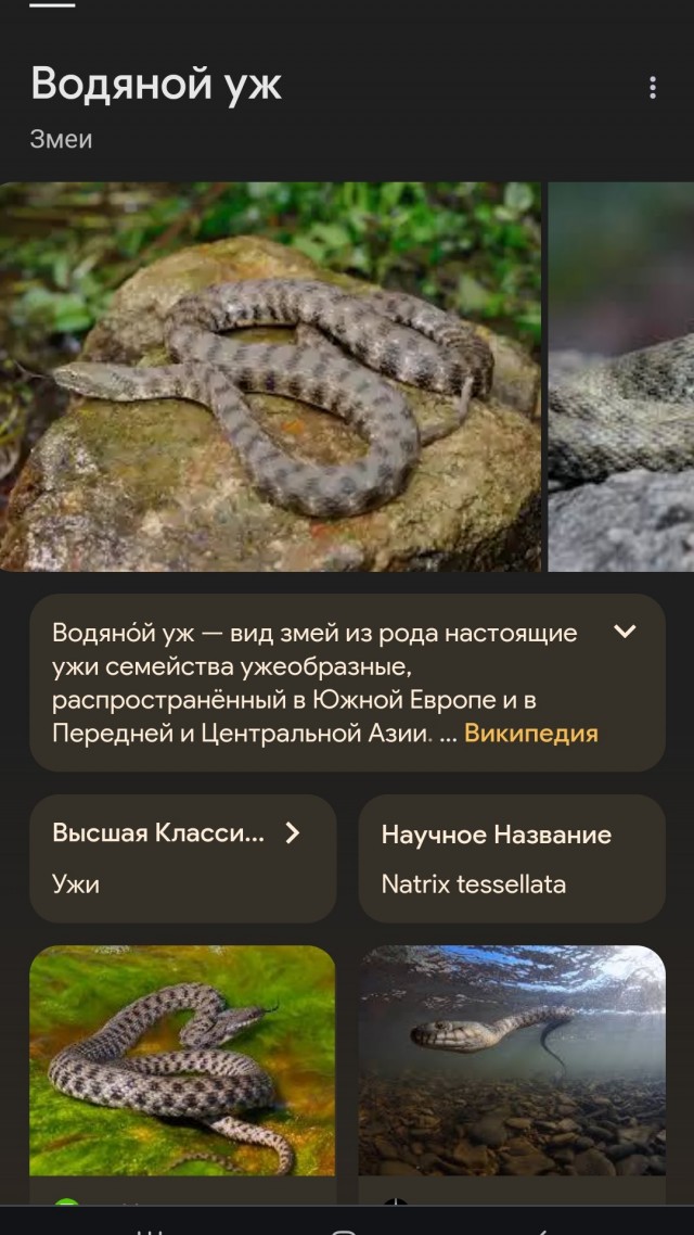 Фото с летней рыбалки