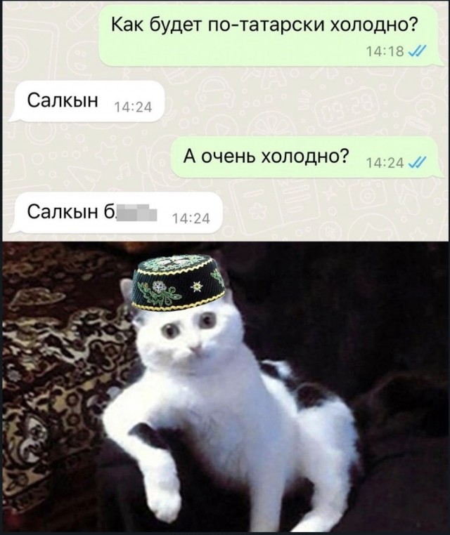 Забавные картинки, шутки из этих ваших интернетов