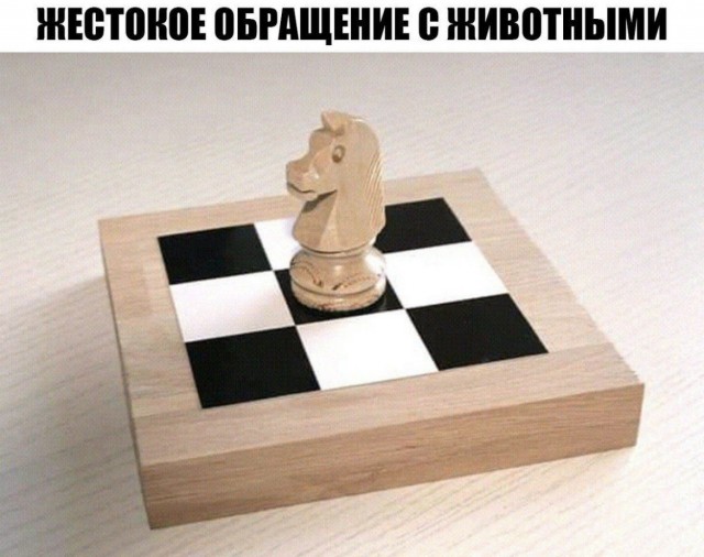 Так себе картинки 19.02.24