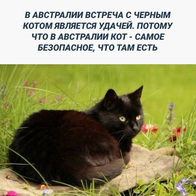 Тлидцать тли от 14 маЛта