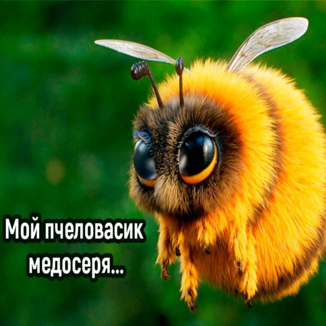 Сброс балласта. Картинки.