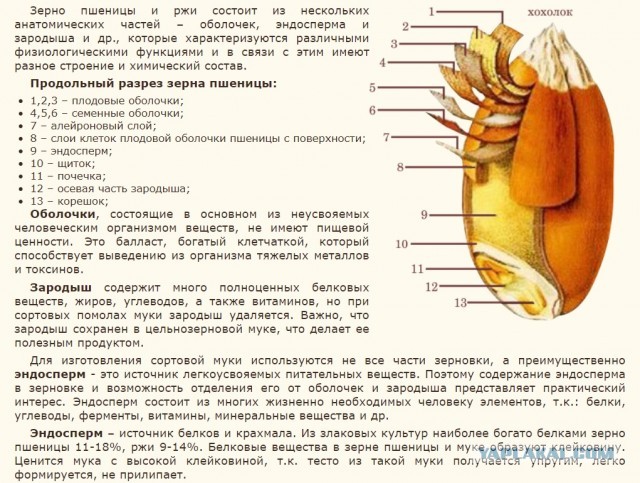 Кулинарная общалка