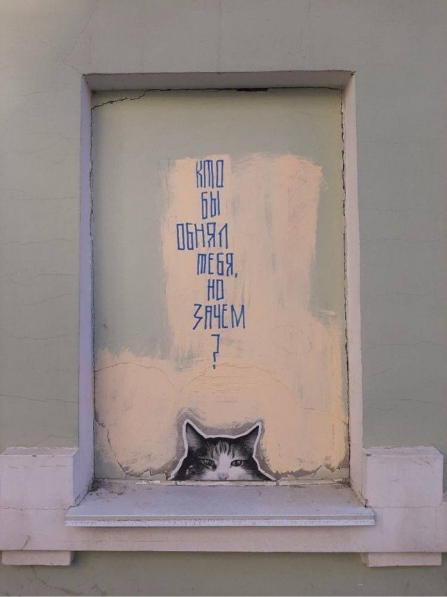 Прикольные и просто красивые картинки 14.06.24