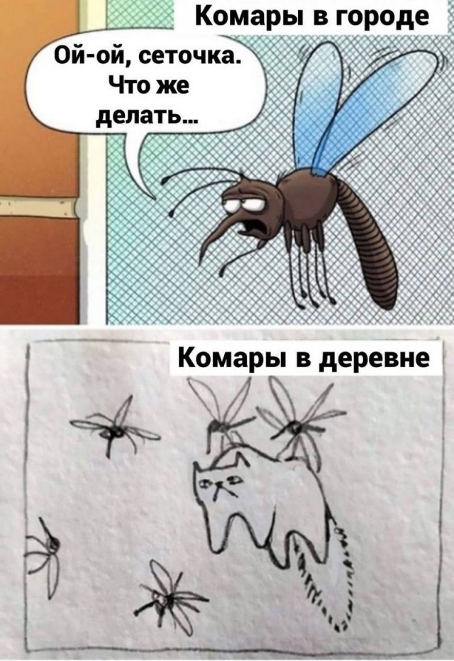 Завалялось тут случайно немного забавных картинок