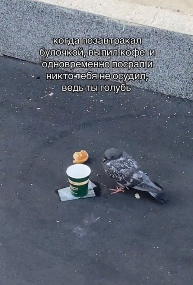 Завалялось тут случайно немного забавных картинок