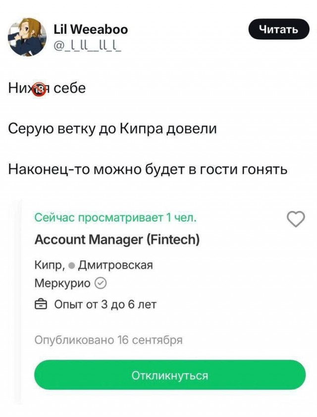 «Бл*ть, у них метро в аэропорту!»