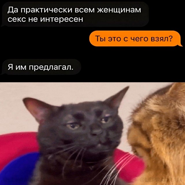 Нуштош 11.10.2024