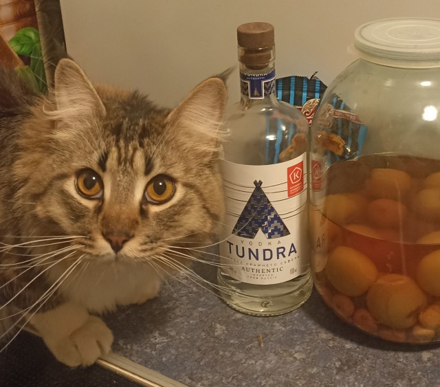 Всем доброе утро!