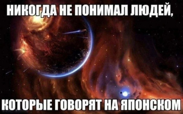 Всего понемногу. От 21.11.2024.