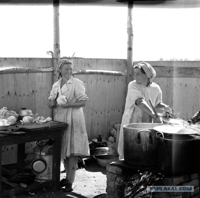 Ностальгия по работящим женщинам