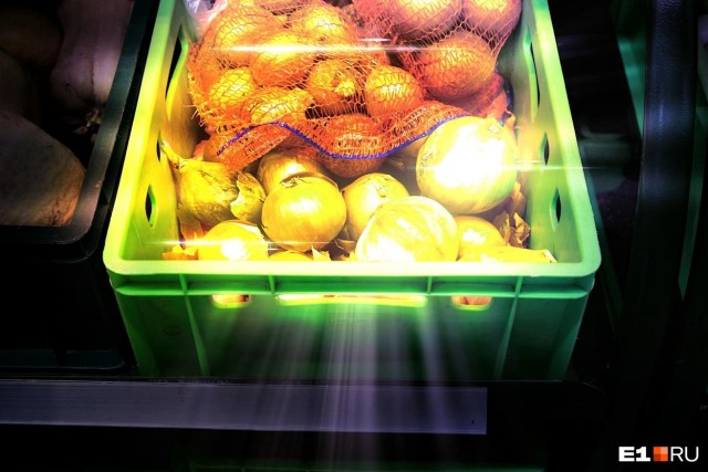 Дорого до слез! В Свердловской области взлетели цены на лук и другие овощи