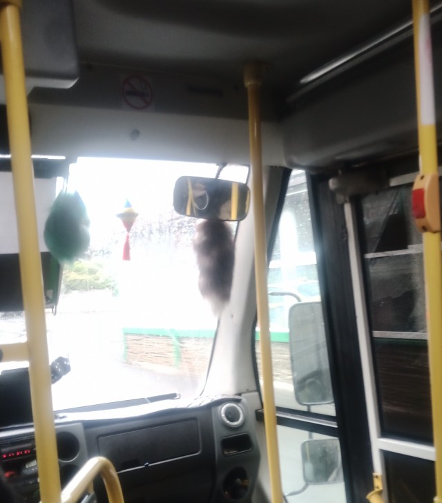 Я сейчас в маршрутке еду