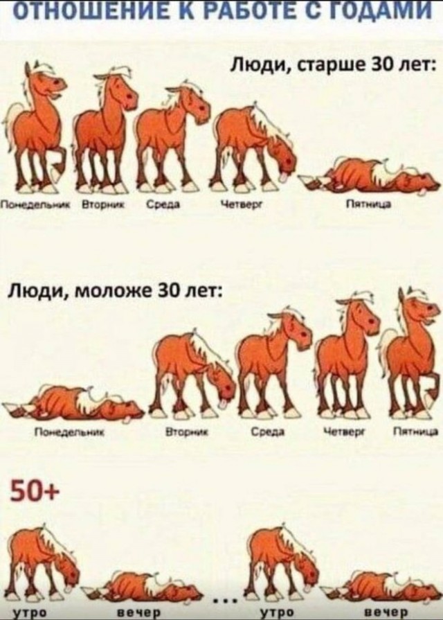Веселые картинки в пятницу (25.07)