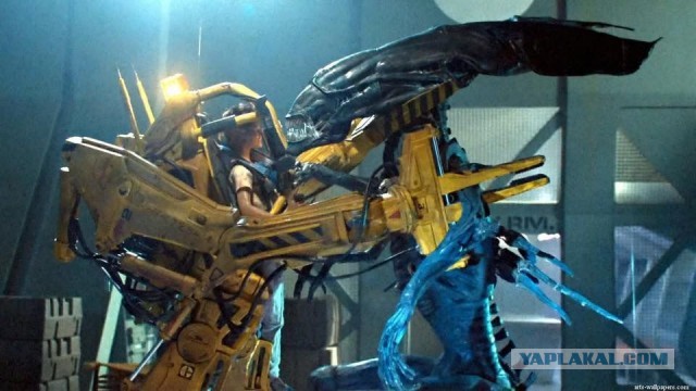 Чужой и Хищник с точки зрения биологии