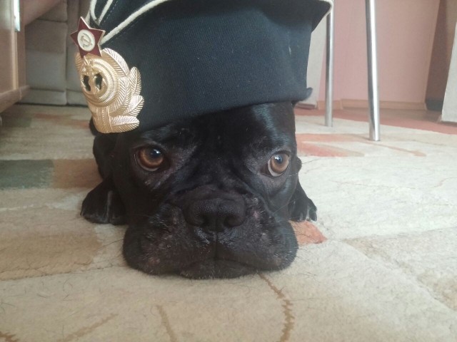 С днём ВМФ народ!