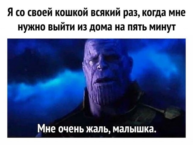 Картинки для деградации 12 (разной степени свежести)
