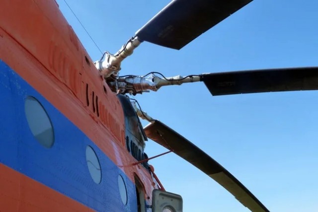 Шершни едва не убили лесничего под Тюменью