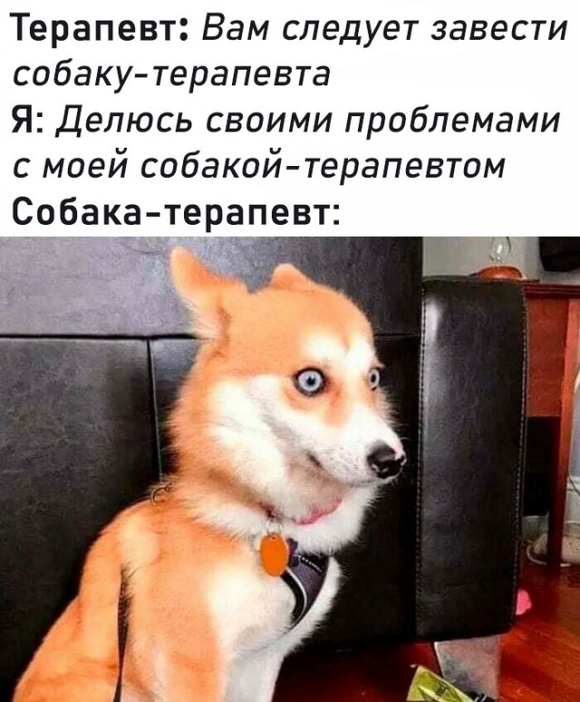 Картинки для деградации 21 (разной степени свежести)