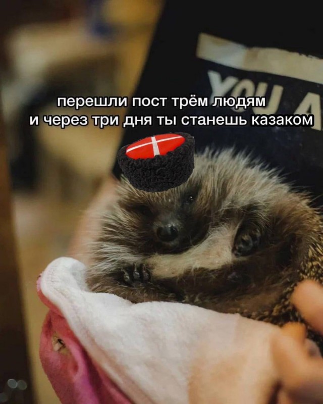 Веселое настроение в картинках (02.10.2025)