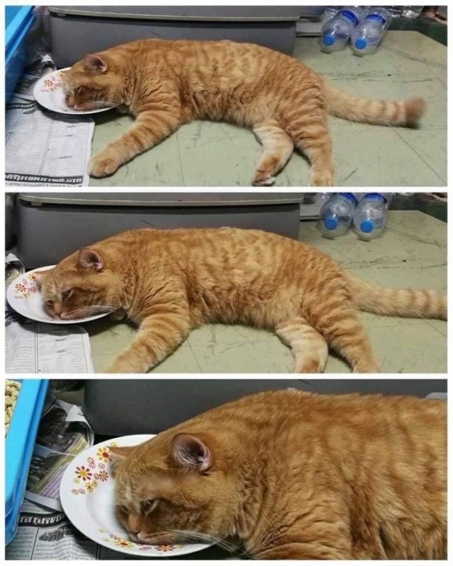 Безнадёжная ситуация