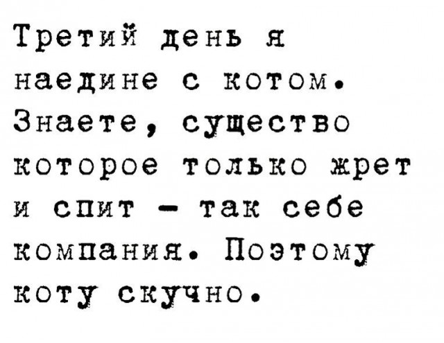 Происхождение человека. Котоверсия